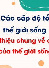 Bài 3 Giới thiệu chung về các cấp độ tổ chức của thế giới sống (Tiết 1)